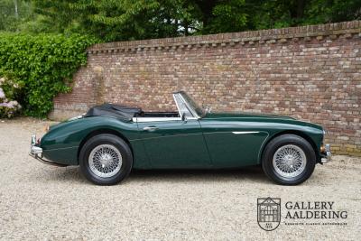 1966 Austin - Healey 3000 Mk3 Fase 2