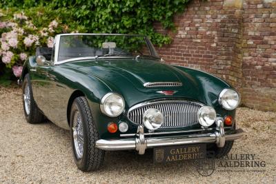 1966 Austin - Healey 3000 Mk3 Fase 2