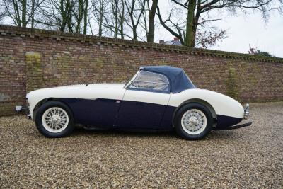 1955 Austin - Healey 100/4 BN1