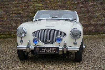 1955 Austin - Healey 100/4 BN1