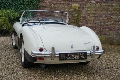 1955 Austin - Healey 100/4 BN1