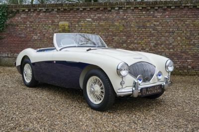 1955 Austin - Healey 100/4 BN1