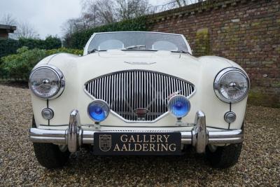 1955 Austin - Healey 100/4 BN1