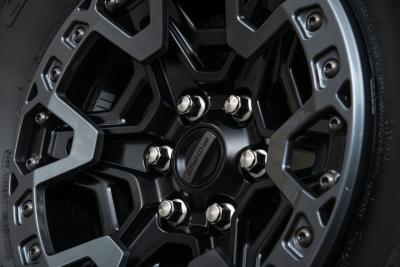 2025 Ford F-150 Raptor R