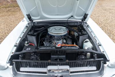 1967 Ford Mustang Convertible 289 &ldquo;With the A-code prefix&rdquo;