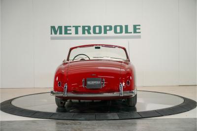 1952 Ford Siata- 208S