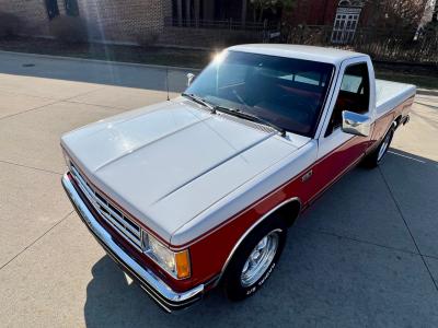1989 Chevrolet S-10