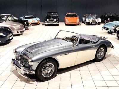 1957 Austin - Healey 100/6