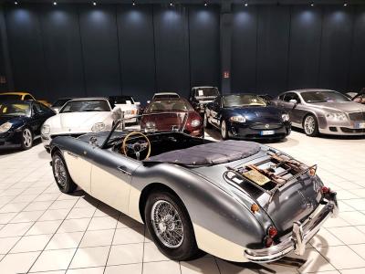 1957 Austin - Healey 100/6