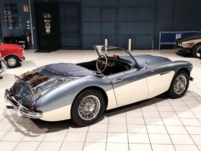 1957 Austin - Healey 100/6