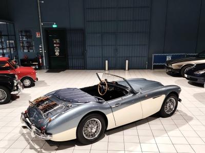 1957 Austin - Healey 100/6