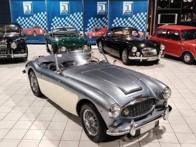 1957 Austin - Healey 100/6