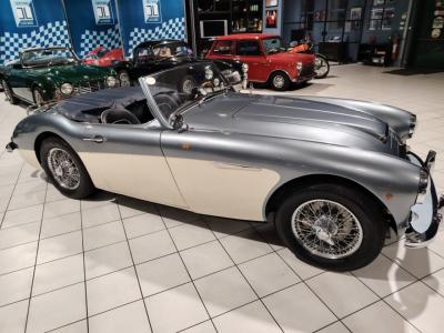 1957 Austin - Healey 100/6