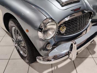 1957 Austin - Healey 100/6