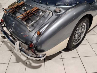 1957 Austin - Healey 100/6
