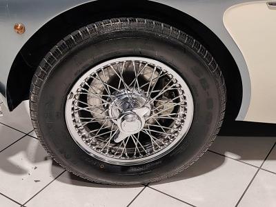1957 Austin - Healey 100/6