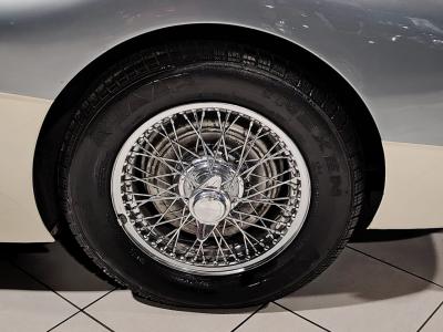 1957 Austin - Healey 100/6