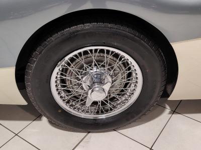 1957 Austin - Healey 100/6