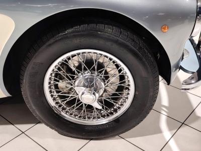 1957 Austin - Healey 100/6
