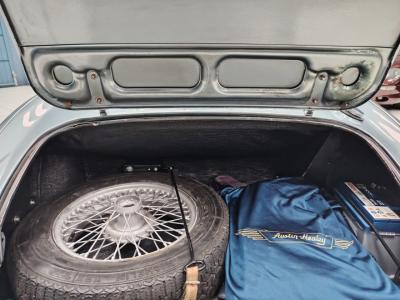 1957 Austin - Healey 100/6