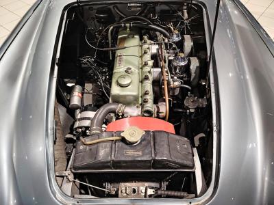 1957 Austin - Healey 100/6