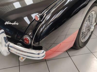 1956 Austin - Healey 100-4 BN2