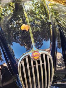 1956 Jaguar XK 140 FHC