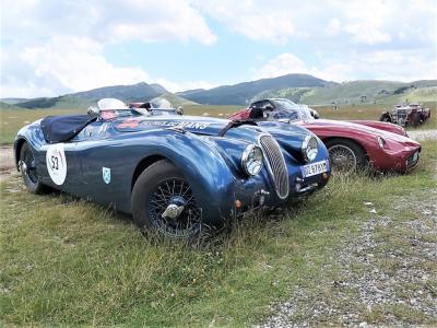 1952 Jaguar XK 120 Roadster