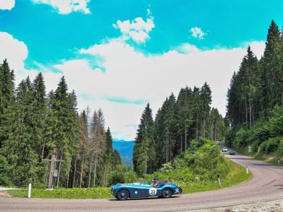 1952 Jaguar XK 120 Roadster