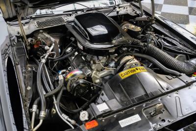 1980 Pontiac Firebird Trans Am 455