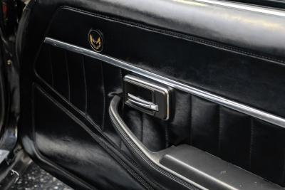 1980 Pontiac Firebird Trans Am 455