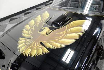 1980 Pontiac Firebird Trans Am 455