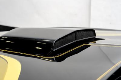 1980 Pontiac Firebird Trans Am 455