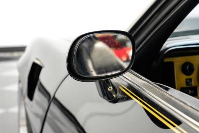 1980 Pontiac Firebird Trans Am 455