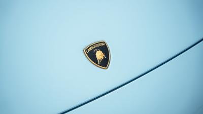 2009 Lamborghini Murci&eacute;lago LP640-4 Coup&eacute;