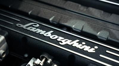 2009 Lamborghini Murci&eacute;lago LP640-4 Coup&eacute;