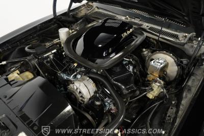 1976 Pontiac Firebird Trans Am