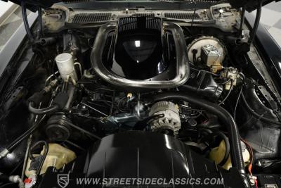 1976 Pontiac Firebird Trans Am