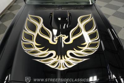 1976 Pontiac Firebird Trans Am