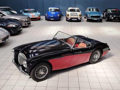 1956 Austin - Healey 100-4 BN2