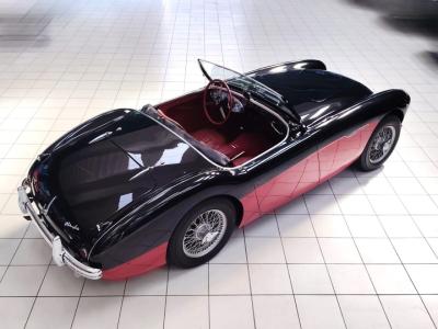 1956 Austin - Healey 100-4 BN2