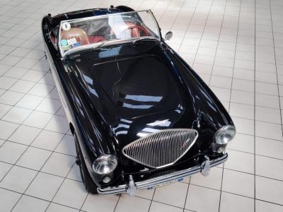 1956 Austin - Healey 100-4 BN2