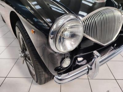 1956 Austin - Healey 100-4 BN2