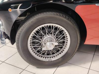 1956 Austin - Healey 100-4 BN2