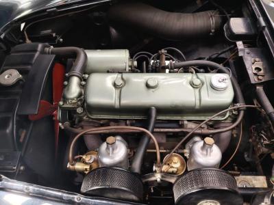 1956 Austin - Healey 100-4 BN2