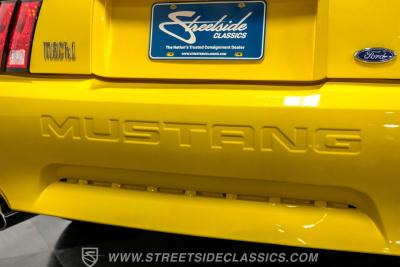 2003 Ford Mustang Mach 1