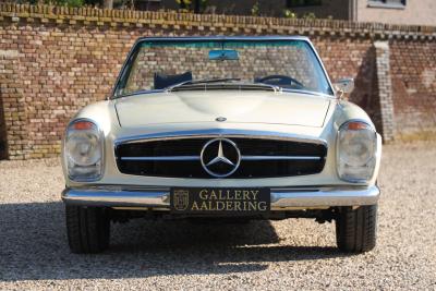 1967 Mercedes - Benz Mercedes Benz 250 SL Pagode