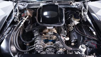 1981 Pontiac Firebird Trans Am