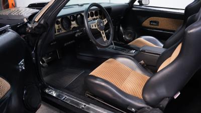 1981 Pontiac Firebird Trans Am