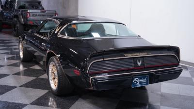 1981 Pontiac Firebird Trans Am